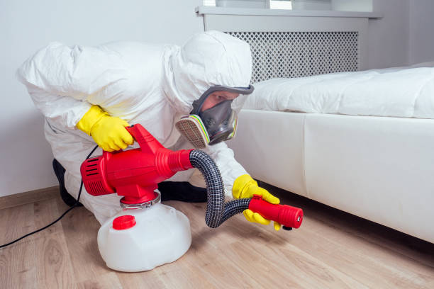 Wasp Removal Services in Jefferson, WI