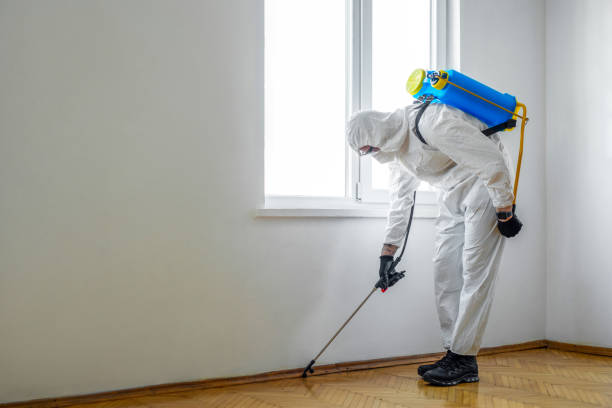 Best Wildlife Control Services  in Jefferson, WI