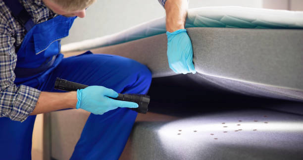 Best Pest Prevention Services  in Jefferson, WI